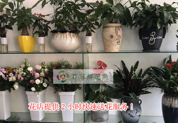 天津和平区花店提供天津和平区2小时快速送花服务